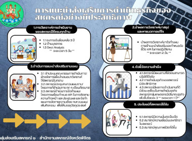 Infographic ของหน่วยงาน พารามิเตอร์รูปภาพ 5